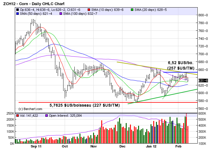 Corn tech MT 10 fev 12